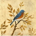 thumbnail image 2 of Fisk, Arnie 12x12 Gold Ornate Wood Framed with Double Matting Museum Art Print Titled - Golden Bluebird, 2 of 4
