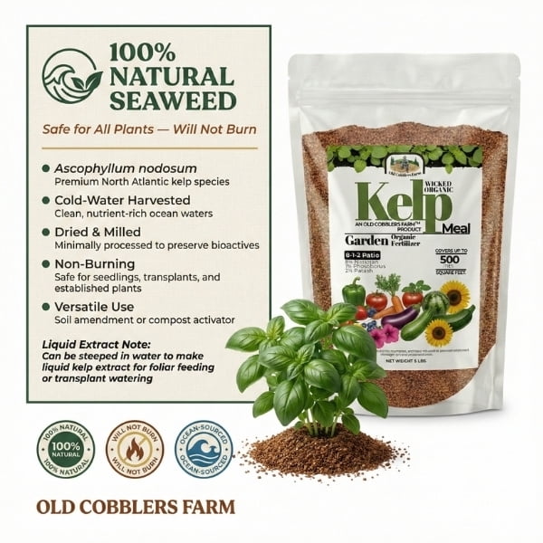 Old Cobblers Farm™ Wicked Organics Kelp Meal – Ocean-Based Soil Conditioner for Root Growth, Plant Resilience & Soil Health (5 lbs | 10 lbs | 15 lbs | 20 lbs)(5lbs)