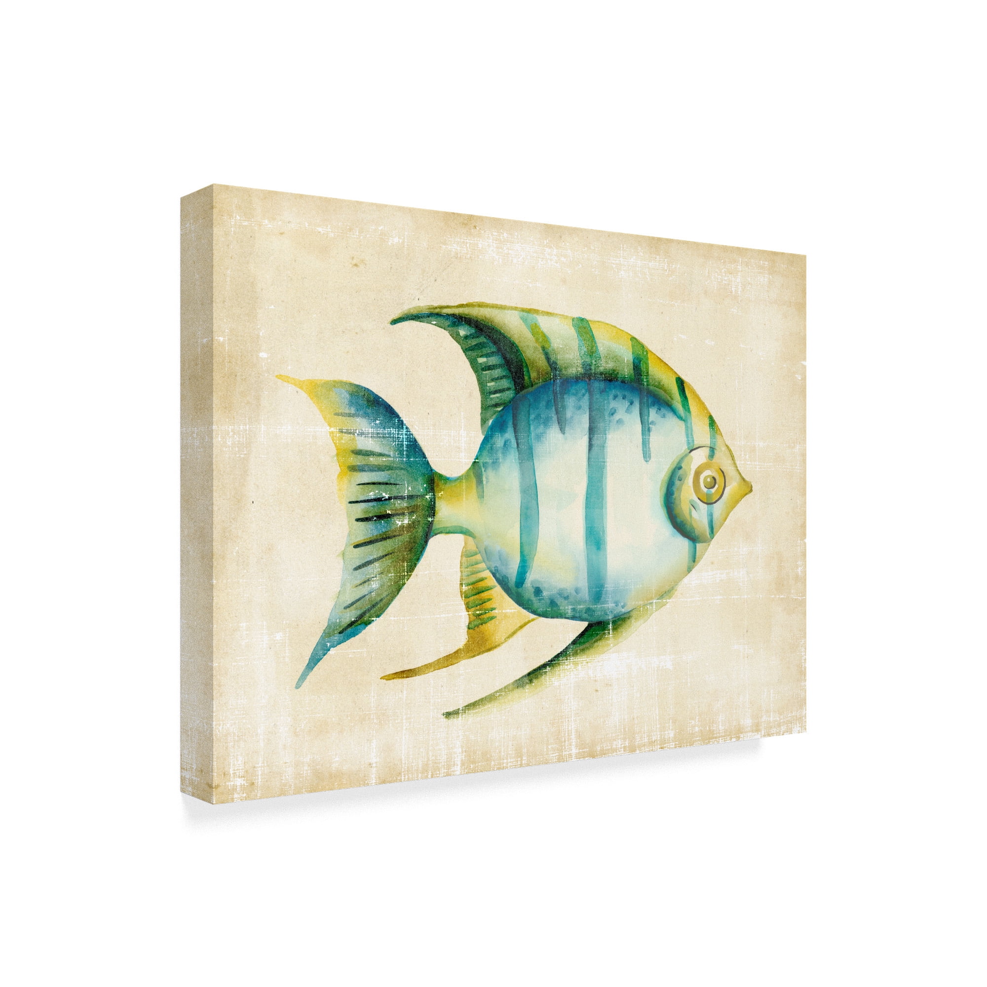 Trademark Fine Art 'Aquarium Fish I' Canvas Art by Chariklia Zarris