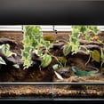 thumbnail image 1 of unbranded Planta Decorativa Para Reptiles Con Material Plástico Resistente Y Apariencia Natural Para Terrarios, 1 of 7
