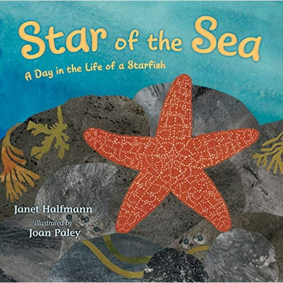Pre-Owned Star of the Sea: A Day in the Life of a Starfish (Hardcover) 0805090738 9780805090734
