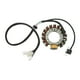 thumbnail image 1 of ATV Stator Coil, 3HN 85510 10 00 High Strength Magneto Stator For Warrior 350 YFM350, 1 of 8