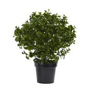 Nearly Natural 28" Peperomia Plant UV Resistant (Indoor/Outdoor)