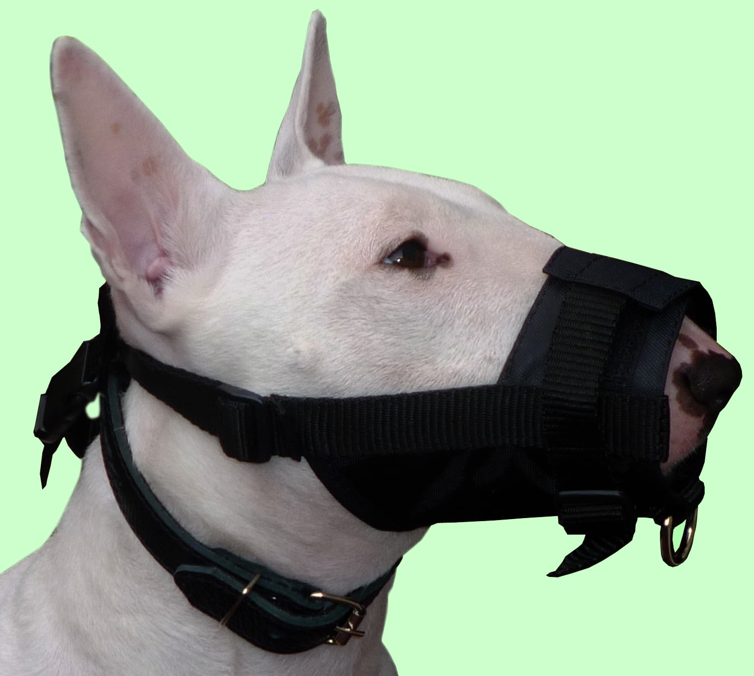 dog muzzle for biting