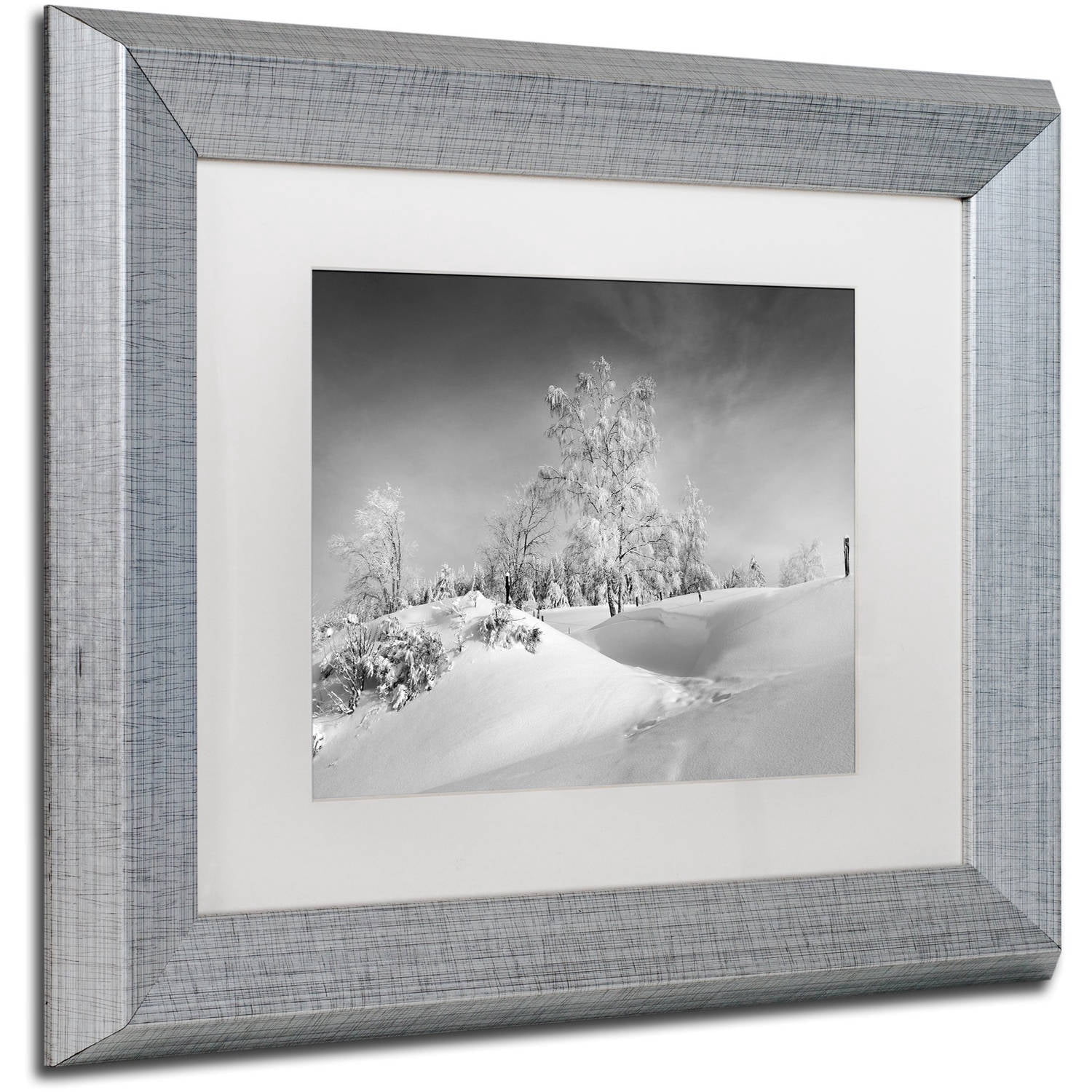 Trademark Fine Art "Dressed For Winter B&W" Canvas Art by Philippe Sainte-Laudy, White Matte, Silver Frame