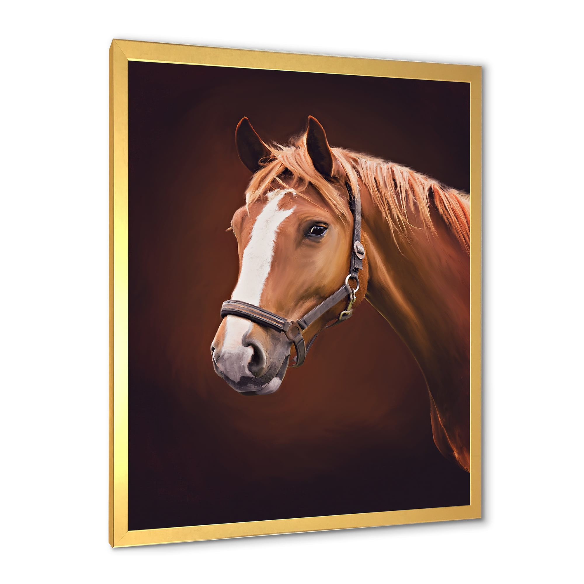 Designart 'Close Up Portrait Of Brown Horse With White Nose II' Farmhouse Framed Art Print
