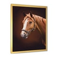 thumbnail image 2 of Designart 'Close Up Portrait Of Brown Horse With White Nose II' Farmhouse Framed Art Print, 2 of 4