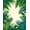 Green, Pattern 4, variant on Flatwoven High Traffic Area Rug, Tropical Leaf Medley with Vivid Rainforest Foliage Design, Non Slip, Stain Resistant, Washable Area Rugs for Living Room, Bedroom(Green, 4X6)