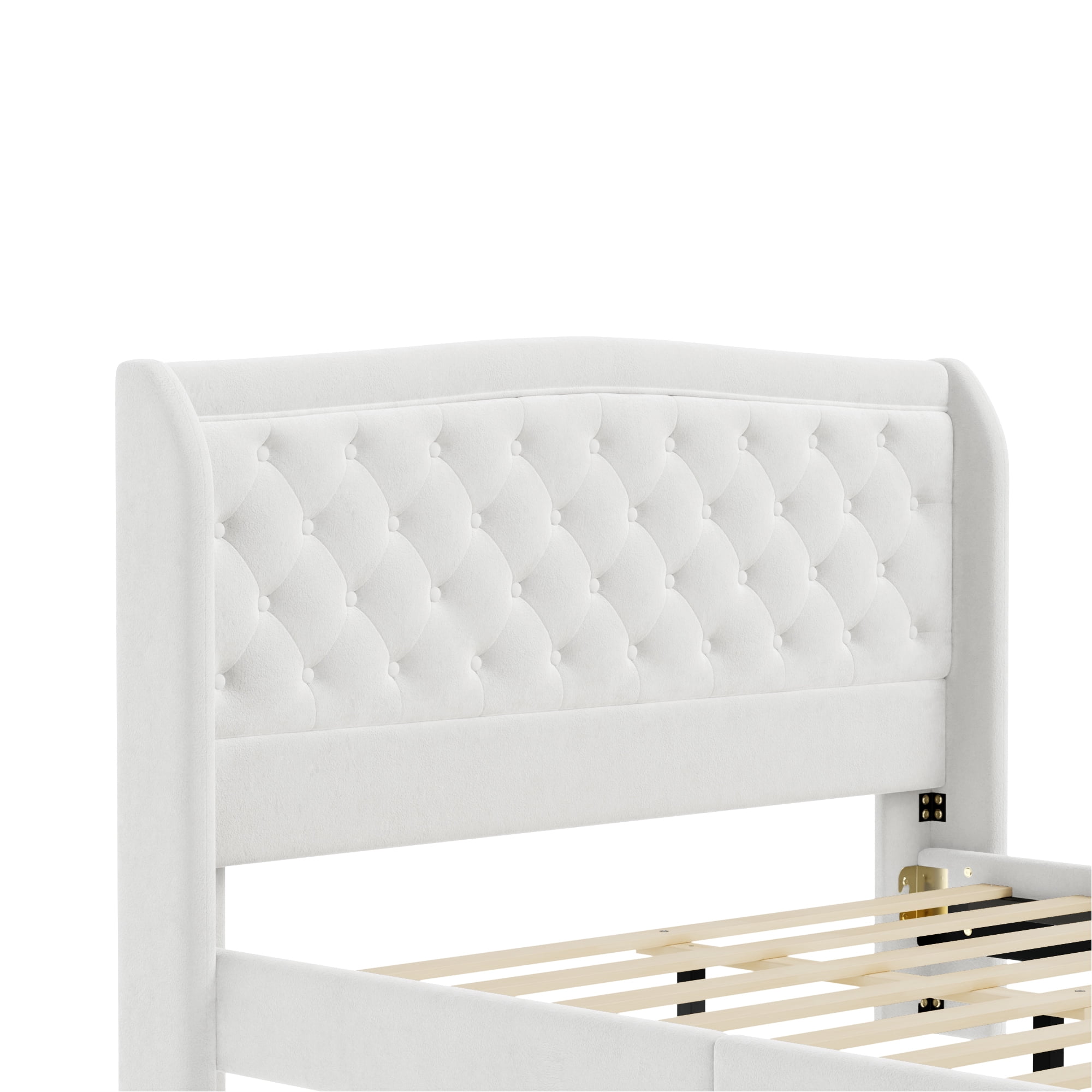 Euroco Velvet Upholstery Queen Size Platform Bed, Button Tufted Sleigh Bed Frame, No Box Spring Needed, Beige
