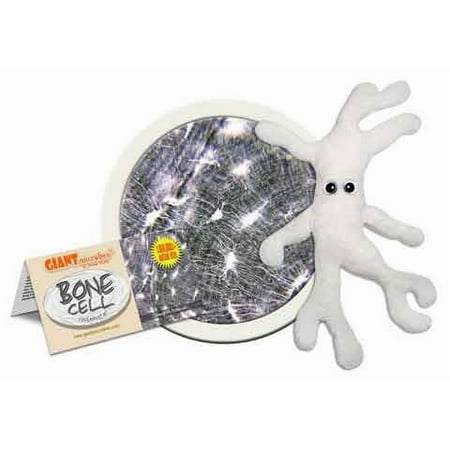 Giant Microbes Plush – Bone Cell (Osteocyte) | Educational Plush Toy with Fact Card for Teachers, Students & Science Lovers