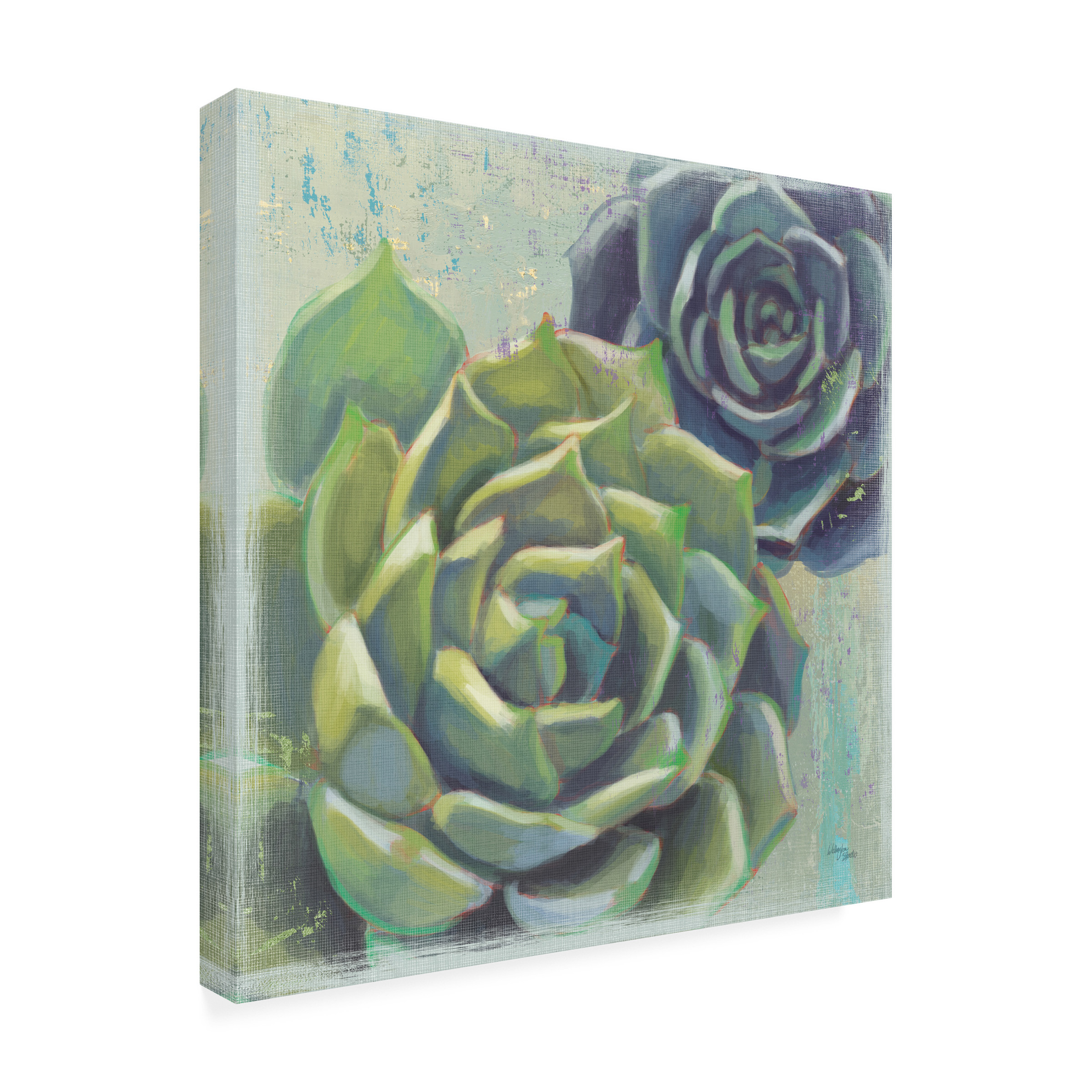 Trademark Fine Art 'Succulents I' Canvas Art by Wellington Studio