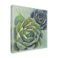 thumbnail image 4 of Trademark Fine Art 'Succulents I' Canvas Art by Wellington Studio, 4 of 4