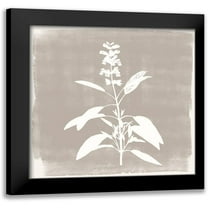 Brown, Denise 20x20 Black Modern Framed Museum Art Print Titled - Sophisticated Floral 3