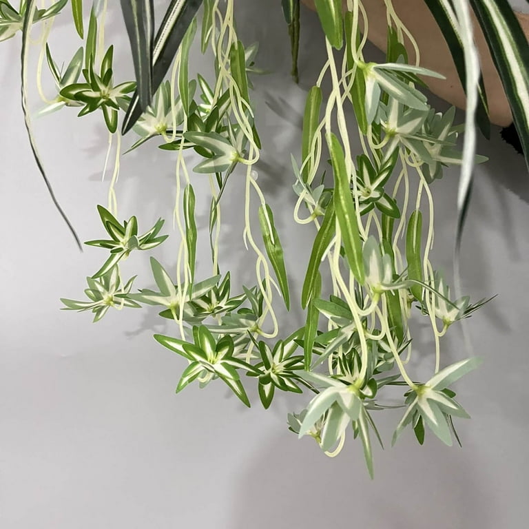 bedroom wall plants Fairycore Bedroom Sustainable Plant Wall Decor main image 1
