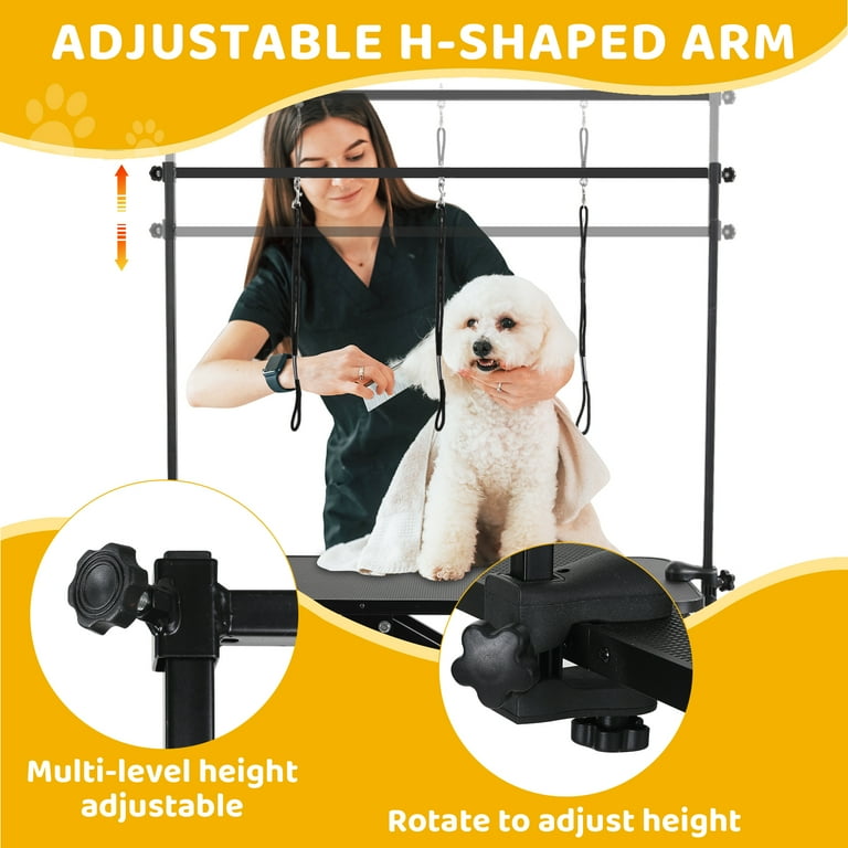 Lazy dog grooming 2025