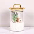 thumbnail image 4 of PYYNA-2 Pack 24 oz Medium Acrylic Storage Apothecary Jar with Gold Airtight Lid | Bathroom Vanity Organizer Containers | Ideal Decorative Canisters for Shells, Bath Salt, Grains, Cotton Ball, Flosser, 4 of 4
