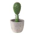 thumbnail image 2 of Gwong Decoración hogareña Cactus Ornament Simulación artificial Cemento Cactus Cactus Figura Muestra de visualización para el hogar Gwong 21060608, 2 of 6