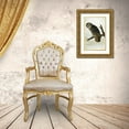 thumbnail image 3 of Audubon, John James 22x32 Gold Ornate Wood Framed with Double Matting Museum Art Print Titled - Great Cinereous Owl, 3 of 4