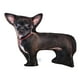thumbnail image 4 of Almohada de felpa de animales, juguete de peluche de animales de peluche, muñeca de peluche linda, juguetes de acompañamiento para niños para decoraci chihuahua, 4 of 10