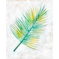 thumbnail image 2 of Zarris, Chariklia 15x18 White Modern Wood Framed Museum Art Print Titled - Ocean Side Palms  IV, 2 of 4