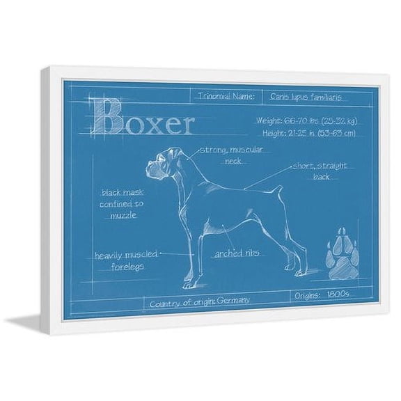 Marmont Hill "Blueprint Boxer" Framed Painting Print
