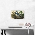 thumbnail image 2 of ARTCANVAS Louisiana Heron Canvas Art Print by John James Audubon - Size: 18" x 12" (1.50" Deep), 2 of 9