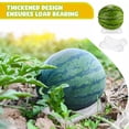thumbnail image 2 of Watermelon Tray, Thiened,tray for Fruit Planting, Plastic New, 2 of 9