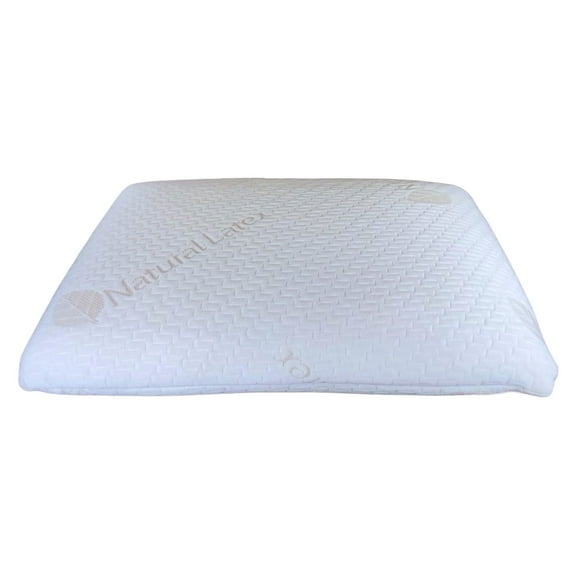 QQbed 24"x16"x5" Medium Firmness Latex Foam Adult Standard Bed Pillow with Washable Pillowcase