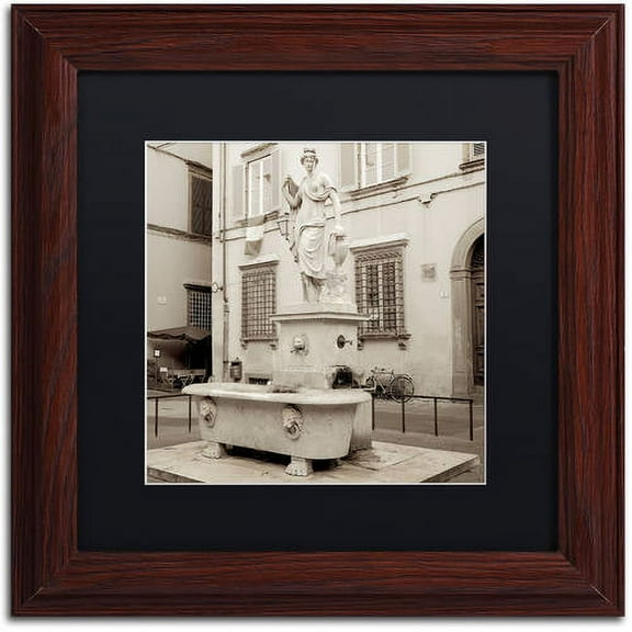 Trademark Fine Art "Lucca I" Canvas Art by Alan Blaustein, Black Matte, Wood Frame