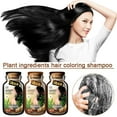 Natural Plant Hair Dye Bubble New Botanical Based Color Bubble Dye for ...