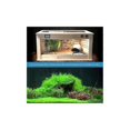 thumbnail image 4 of Terrarium Thermostat, Cooling and Heating Thermostat Socket, Reptile Thermostat for Snakes, 4 of 4
