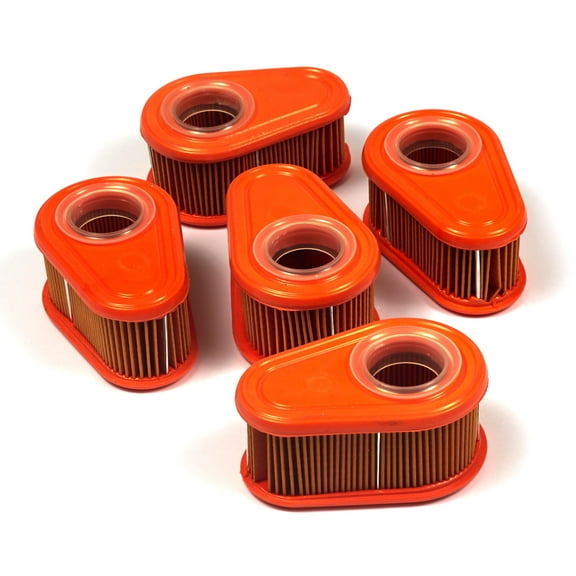 Briggs & Stratton OEM 4245  A/C-Filter (5 X 792038)