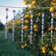 thumbnail image 5 of 10 Uds. Palo repelente de pájaros colgante seguro reflectante de plástico para decoración de jardín Hugtrwg  Para estrenar, 5 of 8