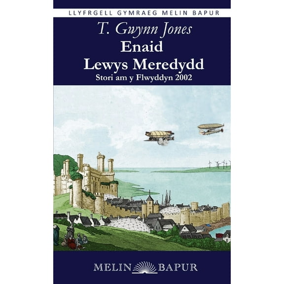 Enaid Lewys Meredydd: Stori am y Flwyddyn 2002, (Paperback)