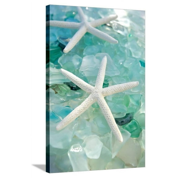 Crystal Harbor 7, Animals Stretched Canvas Wall Art by Alan Blaustein  Sold by Art.Com