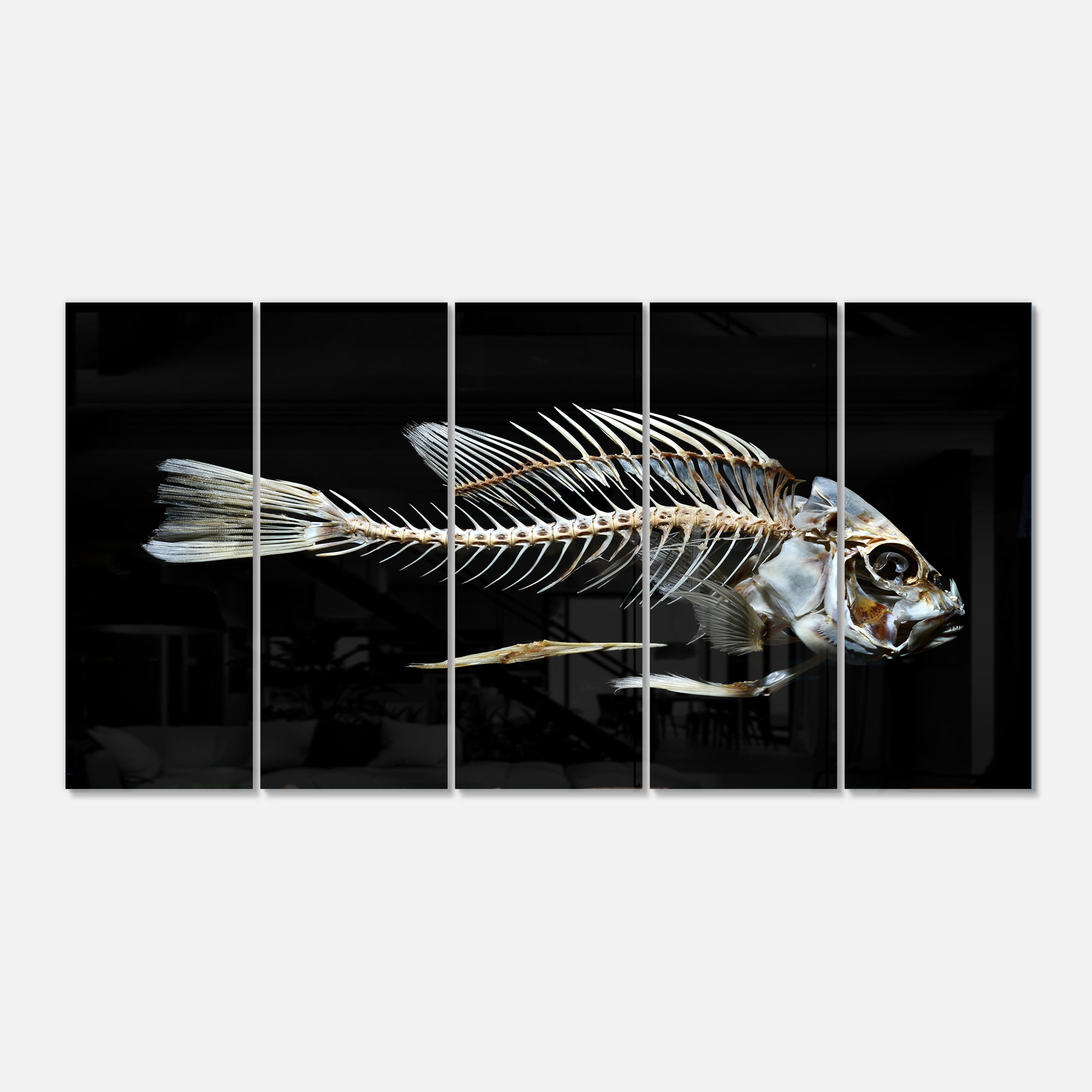Designart 'Fish Skeleton Bone on Black ' Multipanel Animal Metal Wall