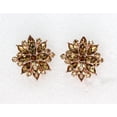 thumbnail image 5 of Faship Gorgeous Smoked Topaz Rhinestone Crystal Floral Clip On Style Earrings, 5 of 5