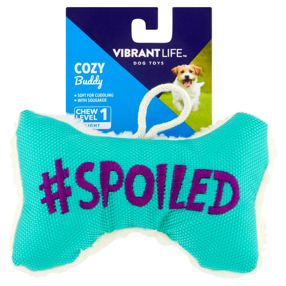 Vibrant Life Cozy Buddy Squeaky Bone Dog Toy, Color May Vary, Chew Level 1