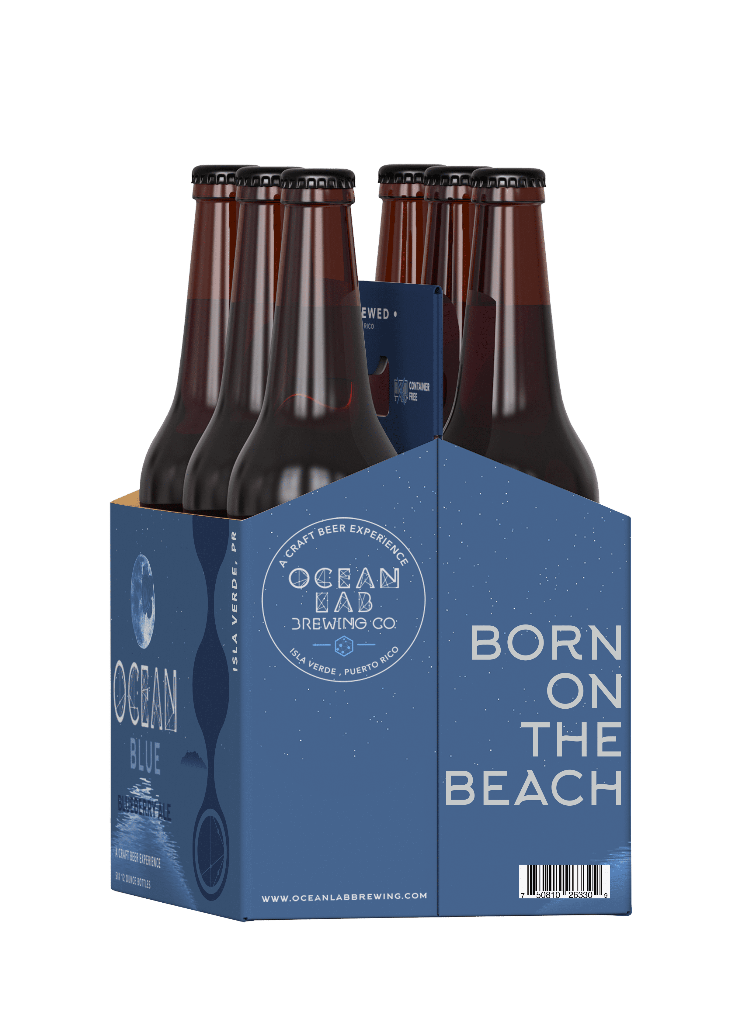 Ocean Lab Blue Ale craft beer 6 Pack 12 oz Glass Bottles 6.6% ABV