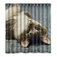 thumbnail image 1 of ABPHQTO Animal Pet The Carpet Cute Cats Cortina de ducha Cortina de ducha impermeable 160x180 cm, 1 of 2