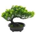thumbnail image 1 of Emulated Plant Bonsai Simulation Plant Indoor Bonsai Decorative Supply, 1 of 6
