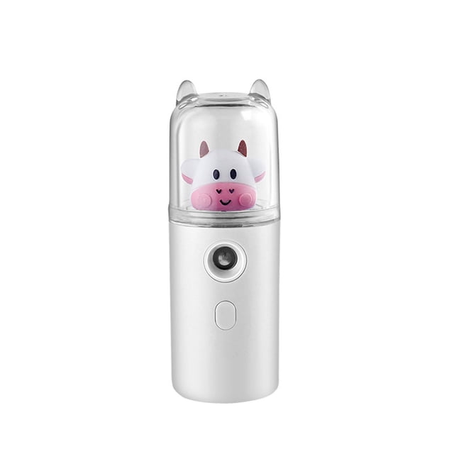 WREESH Hand-held Facial Moisturizer Sprayer Steamer Beauty Device Humidifier