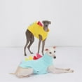 thumbnail image 5 of HQREA Dachshund Dog Fleece Dinosaur Costume Sleeveless Onesie Turtleneck Mini Dachshund Outfit, 5 of 6