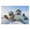 300, variant on Puzzles for Adults 1000 Pieces - Some Lovely Seals Are On The Ice And Snow Challenging Jigsaw Puzzle, Daring to Try, Family Entertainment Interactive Fun Jigsaw Puzzle Gifts