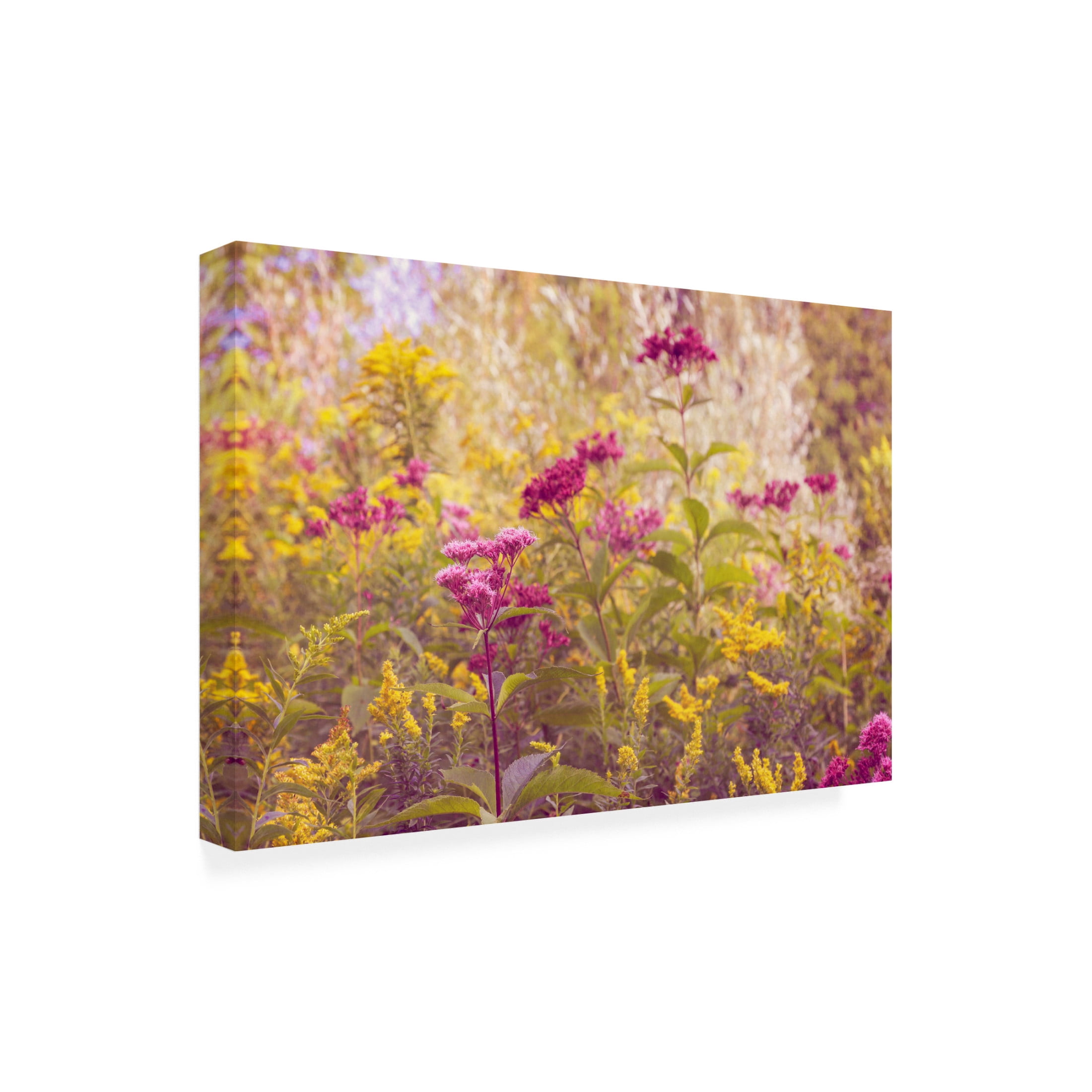 Canvas Wall Art - Brooke T. Ryan 'Plum and Mustard Wildflowers' Wall Art for Living Room, Bedroom, or Office Décor by Trademark Fine Art - 32 x 22 Inches