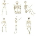 thumbnail image 4 of Life-Size Halloween Skeleton Decoration with Movable Joints - Realistic Hanging Skeleton Prop for Indoor Outdoor Scary Decor, 4 of 8
