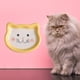 thumbnail image 4 of para gatos,Pets Cat Bowls Platos para mascotas Alimentación Single Bowl,Pets Bow Feeder Cachorro, para cachorros y gatitos,Dispensador Suministros para Yuyangstore Cuencos para gatos, 4 of 5