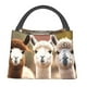 thumbnail image 1 of Fotbe Cute Alpaca in Daze Bolsa Térmica Portátil con Estampado, Bolsa de Entrega de Alimentos Aislada, Bolsa Reutilizable de Gran Capacidad para Comidas y Supermercado, 1 of 6