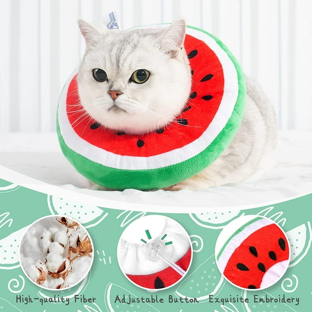 Walmart cat cone collar 2025