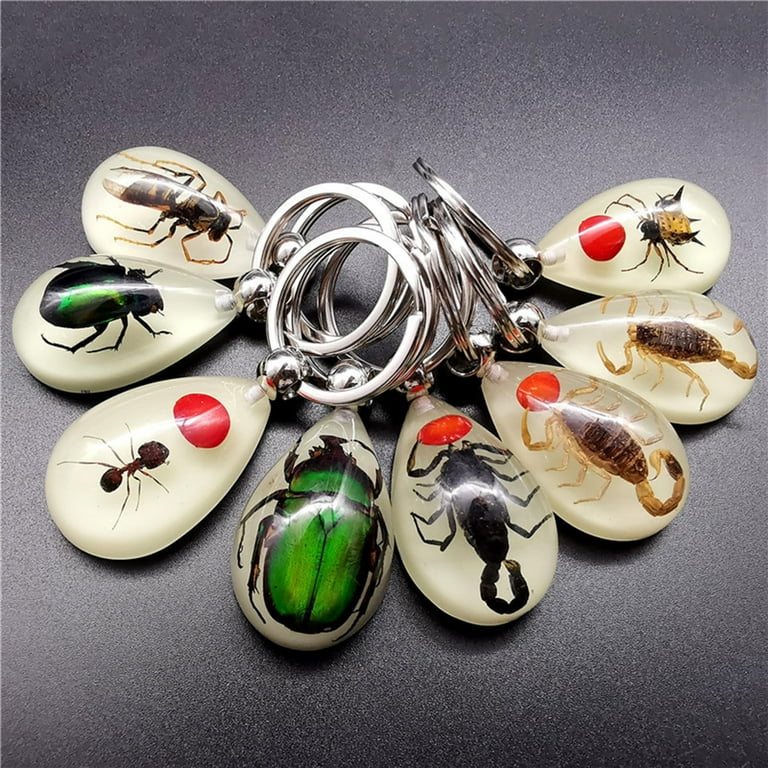 Insect keychain on sale